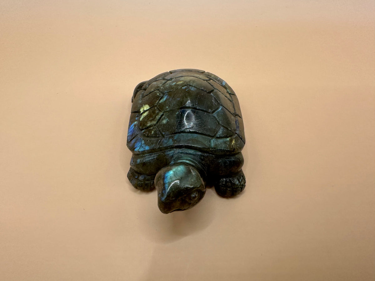 Schildkröte aus Labradorit